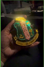 The AKA® Shield Pin ™
